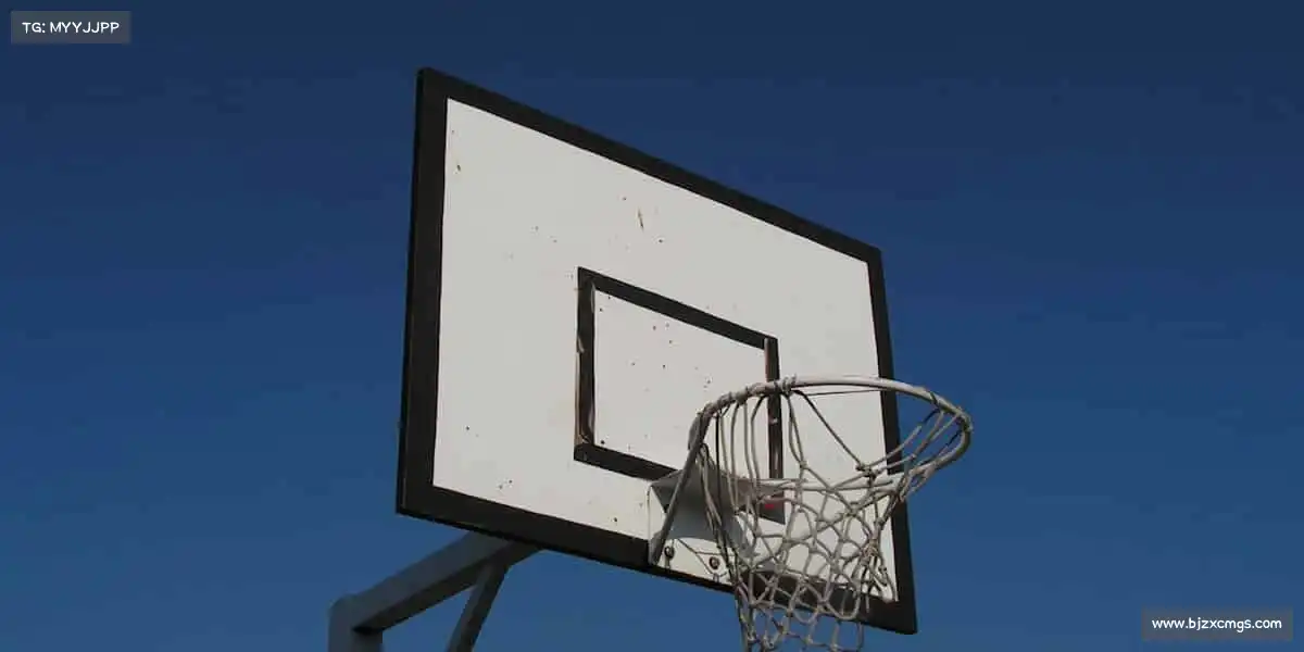 我们的优势